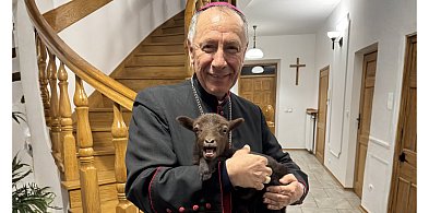 Niedziela Dobrego Pasterza w diecezji – modlitwa o powołania