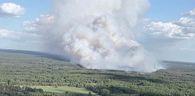Płoną lasy na Mazowszu. Pożar jak  w Puszczy Solskiej