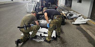 Podkarpackie/ Straż Graniczna odzyskała pojazdy i części za 9 mln zł
