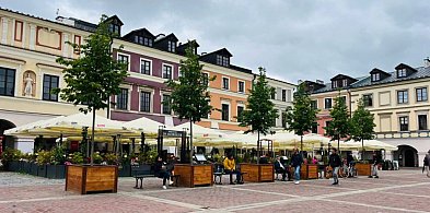 Rynek Wielki w Zamościu bardziej zielony