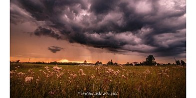 Fotografie Bogusława Pupca podczas Narodowego Czytania -366398