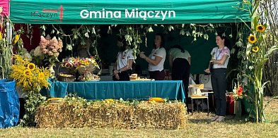 Rekordowe Dożynki w Gminie Miączyn-366542