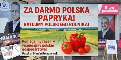 Darmowa papryka prosto od rolnika w Biłgoraju-367083