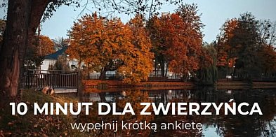 Zwierzyniec pyta mieszkańców o przyszłość-367373