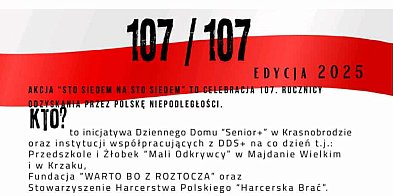 107 na 107. Akcja w powiecie zamojskim-367664