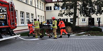 Ewakuacja zamojskiego rolniczaka. Służby ratowały ranny-367880