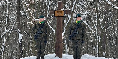 Co wydarzyło się w zawalowskim lesie?