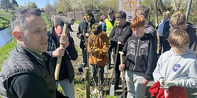 Zielone płuca Zamościa rosną w siłę. Setki nowych drzew