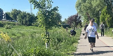 Nad Łabuńką posadzono kolejne drzewa