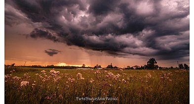 Fotografie Bogusława Pupca podczas Narodowego Czytania w Łabuniach-366398