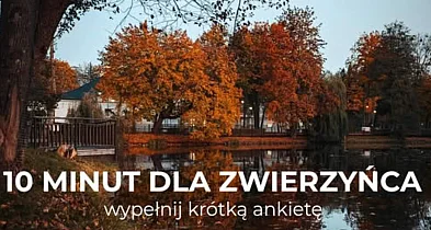 Zwierzyniec pyta mieszkańców o przyszłość-367373