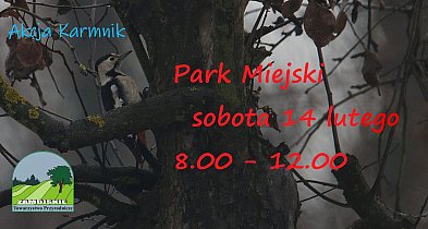 Akcja Karmnik 14 lutego w Parku Miejskim
