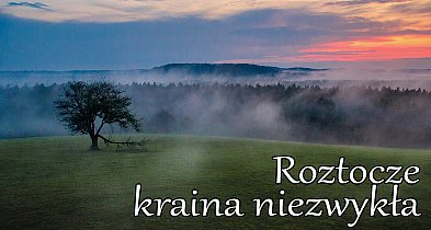Roztocze – kraina niezwykła. Wystawa fotografii Ewy Marszalec