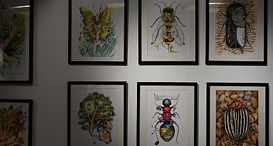 Las pełen opowieści – wernisaż Agnieszki Rzeźniak SzurSzur w Biłgoraju