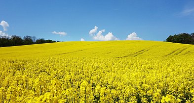 Rolnicy mają czas na dopłaty do 1 czerwca 2026 r.