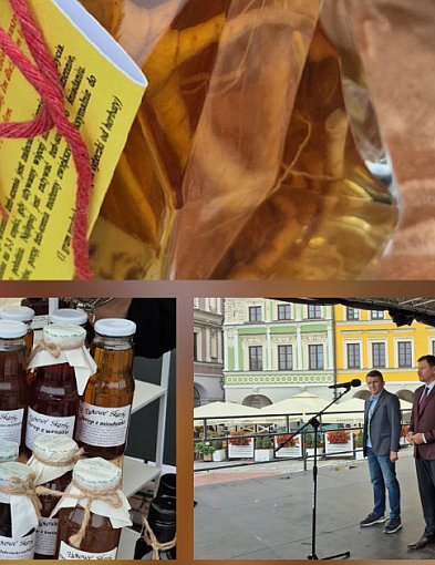 Smak natury bez kompromisów – Festiwal Żywności Wolnej od GMO w Zamościu-366611