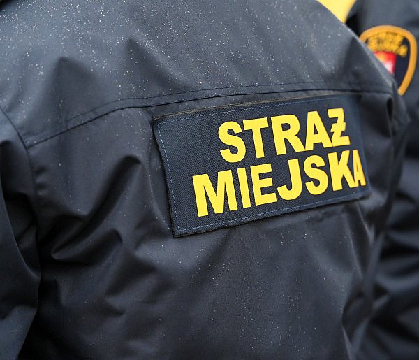 Zapuka strażnik, zapłacisz karę. Ruszyły kontrole w całej Polsce-367171