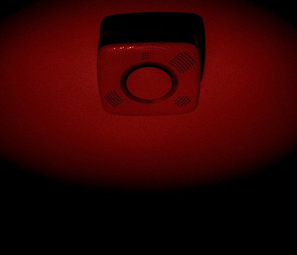 Lubelskie/ We wsi Piotrkówek w każdym domu jest czujka dymu-367428