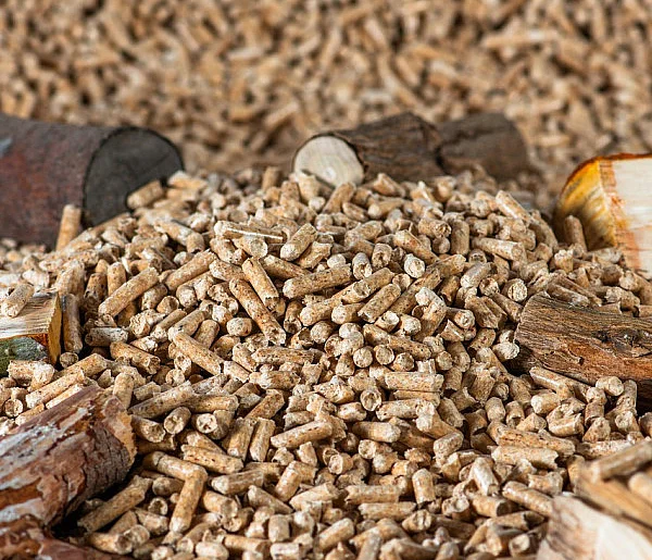 Drożeje popularny opał. Miliony Polaków dostaną po kieszeni tej zimy-367438