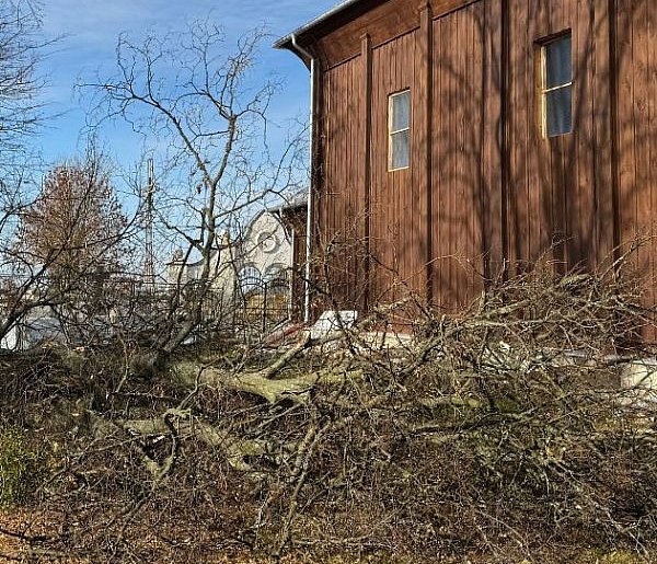 Drzewo runęło tuż obok zabytkowego kościoła w Dubie-367484