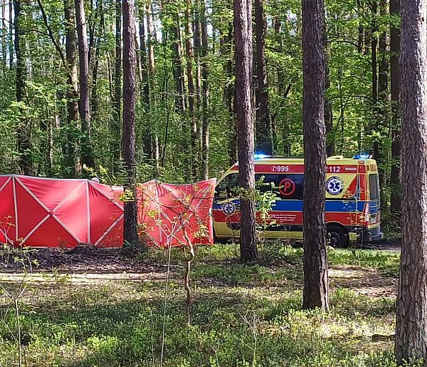 Lubelskie/ Prokuratura umorzyła śledztwo ws. śmierci 14-latki po upadku z konia-368396