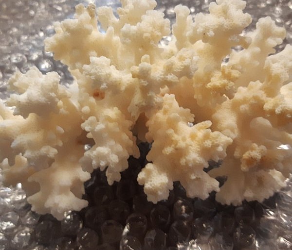 Hrebenne. Problemy przywiezione w bagażu-368472