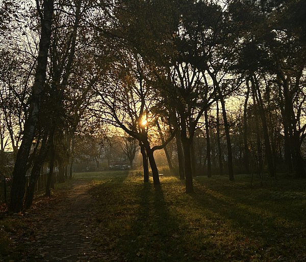 Nadchodzi najkrótszy dzień w 2025 roku. Sprawdź, kiedy przypadnie-368752