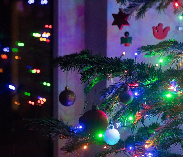 Choinka niejedno ma imię-368804