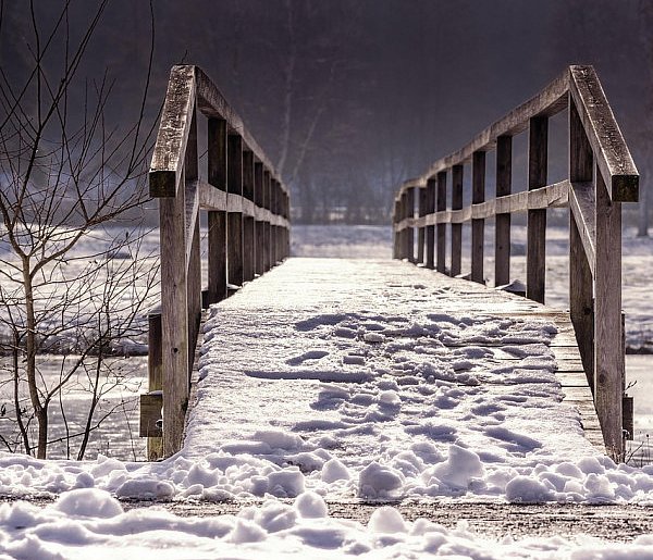 Leżała 5 godzin na mrozie! Policjanci w Trzeszczanach znaleźli wyziębioną 32-latkę-368971