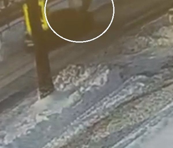 Potrącenie pieszej na pasach w Chełmie-369265