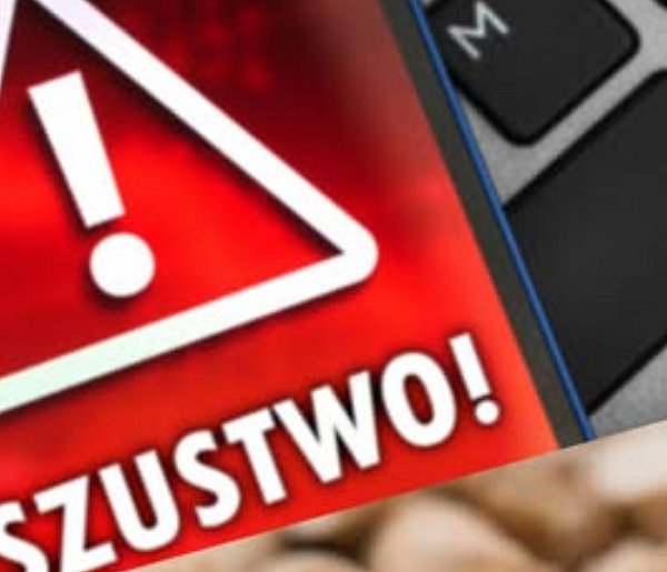 Kupili pellet, stracili tysiące. Fałszywe sklepy znów atakują-369343