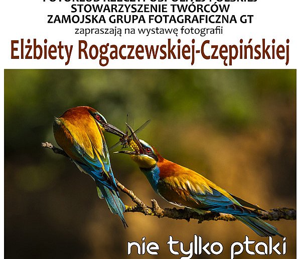 Nowa galeria fotografii w Zamościu. Otworzy ją Elżbieta Rogaczewska-Czempińska-369352