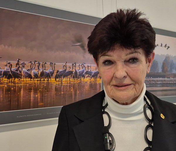 Rogaczewska-Czępińska otworzyła Galerię Fotografii AZ