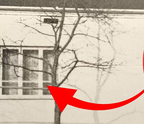 Makabra w Zwierzyńcu. Emeryci zabici dla pieniędzy, sprawcy zniknęli