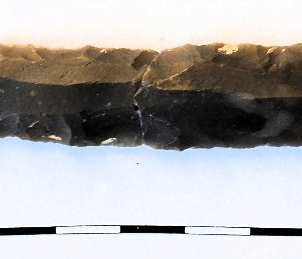 S17 odsłania historię: ponad 100 tys. zabytków spod ziemi Zamojszczyzny