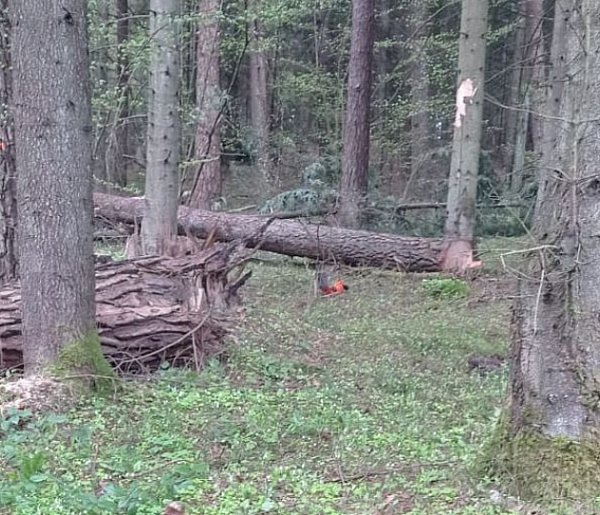Tragiczny wypadek w lesie pod Bełżcem. 43-latek nie żyje