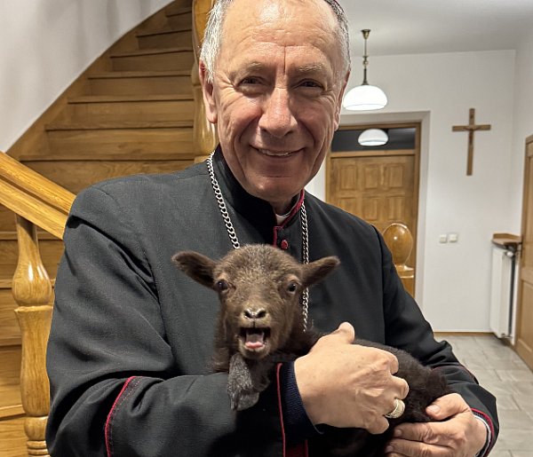 Niedziela Dobrego Pasterza w diecezji – modlitwa o powołania