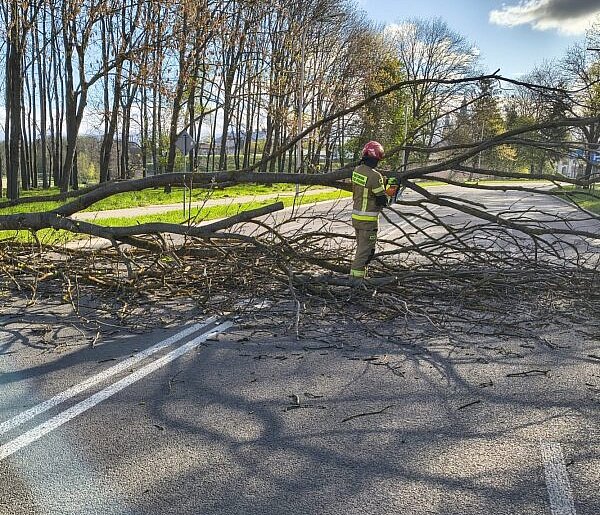 Silny wiatr nad Zamojszczyzną. Strażacy interweniowali 27 razy