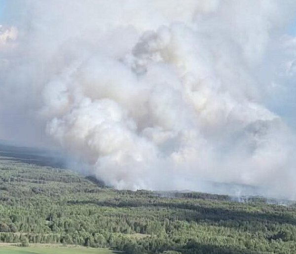 Płoną lasy na Mazowszu. Pożar jak  w Puszczy Solskiej