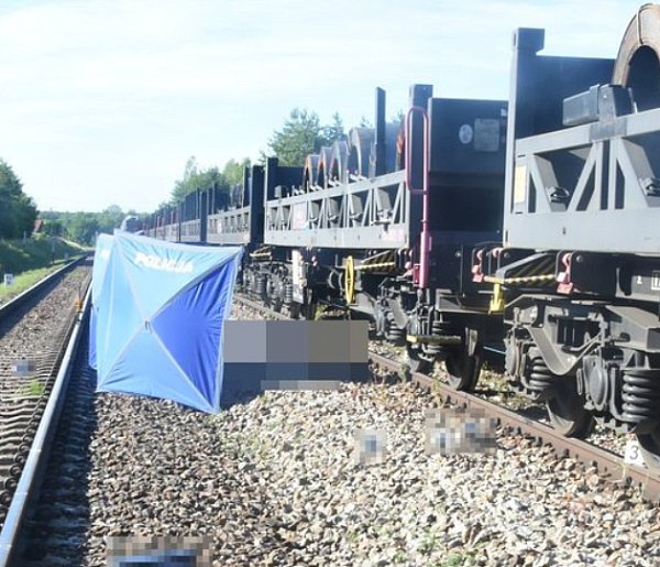 Tragedia pod Zwierzyńcem. Pociąg śmiertelnie potrącił 35-latka
