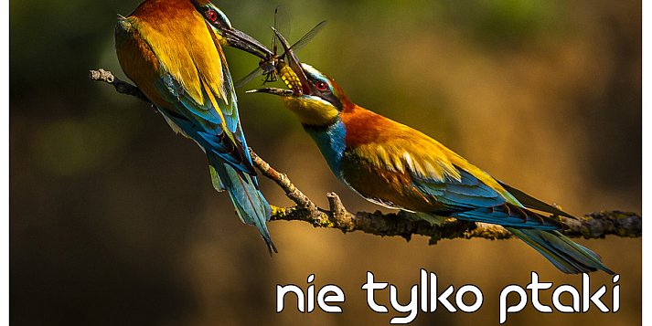 OTWARCIE NOWEJ GALERII FOTOGRAFII W ZAMOŚCIU