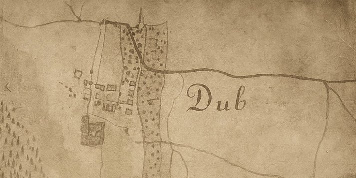 DUBIEŃSKIE KORZENIE. SPOTKANIA W DUBIE I ZAMOŚCIU