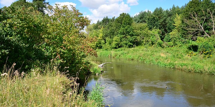 Lubelskie. Trzy nowe rezerwaty przyrody w regionie-366639