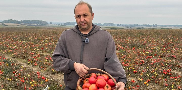 Pomidory na ratunek kościołowi-366966