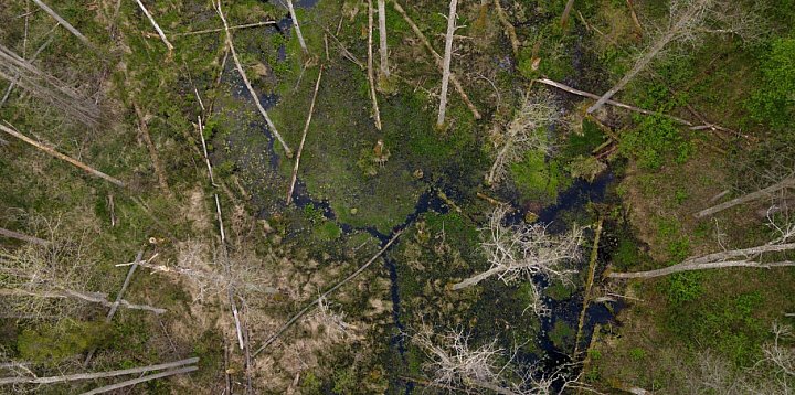 Powstał kolejny rezerwat przyrody Wielkie Bagno-367905