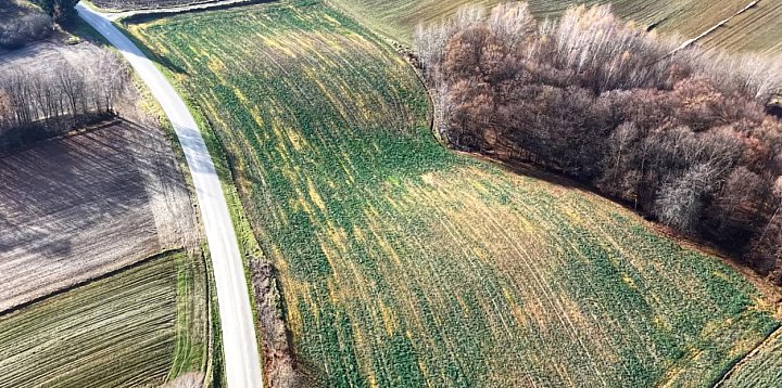 Listopadowe pola na Działach Grabowieckich-367994