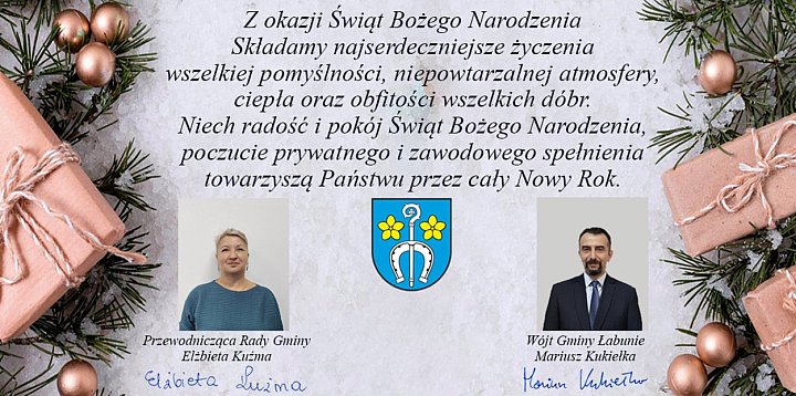 Gmina Łabunie-368733