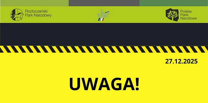 Uwaga! Silny wiatr nad Roztoczem – parki zamknięte-368905