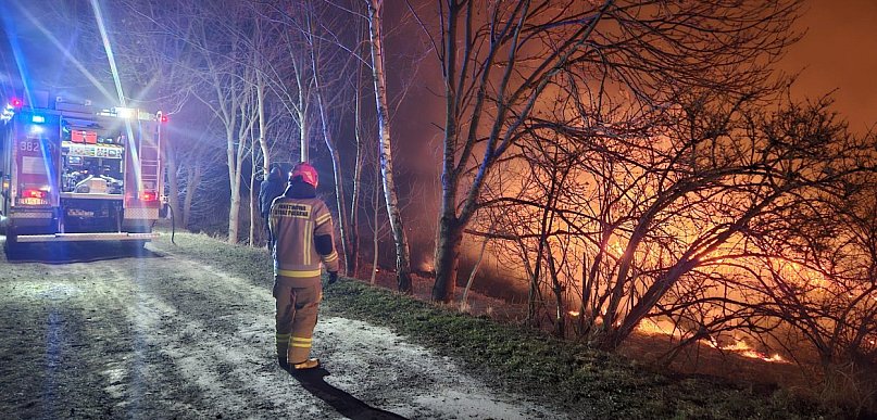 STOP Pożarom Traw - konferencja w zamojskiej straży