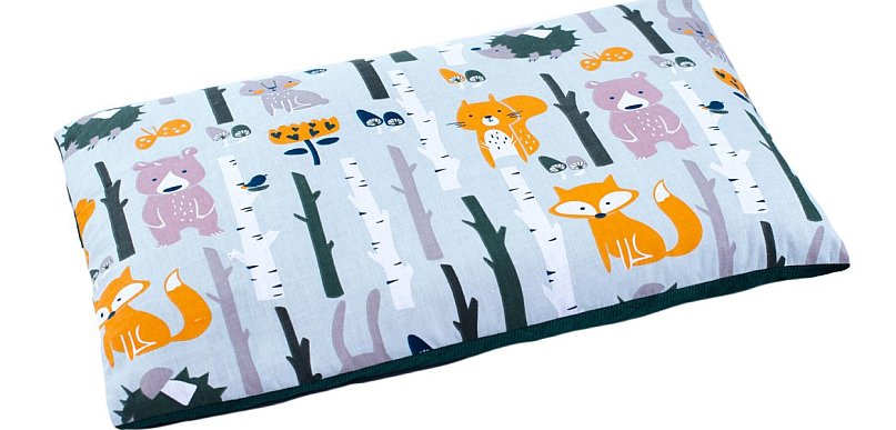 Poduszka z łuską gryki - dlaczego warto nią zastąpić tradycyjną poduszkę?